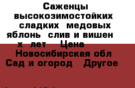 Саженцы высокозимостойких, сладких, медовых яблонь, слив и вишен 2(3х) лет. › Цена ­ 250 - Новосибирская обл. Сад и огород » Другое   